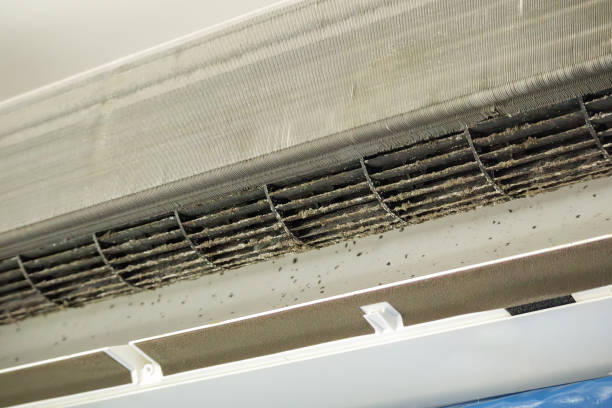 Best Residential Air Duct Cleaning  in Atkins, IA